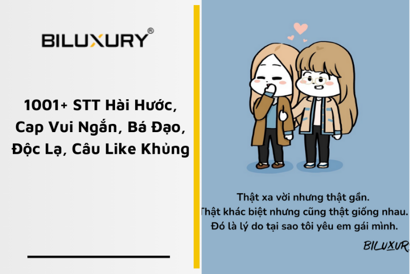Hình ảnh một đàn chó con khỏe mạnh và vui vẻ đang chơi đùa cùng nhau trong một không gian sạch sẽ, thể hiện kết quả tốt đẹp của quá trình phối giống và chăm sóc