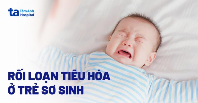 Dấu hiệu nhận biết mèo cưng bị rối loạn tiêu hóa sau khi uống sữa