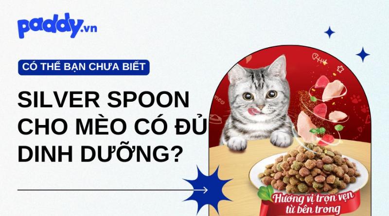 Hạt Mèo Thành Phần Dinh Dưỡng