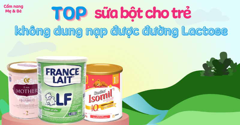 Biểu đồ đơn giản minh họa hệ tiêu hóa của chó không sản xuất đủ enzyme lactase để tiêu hóa lactose, giải thích tại sao chó không dung nạp lactose