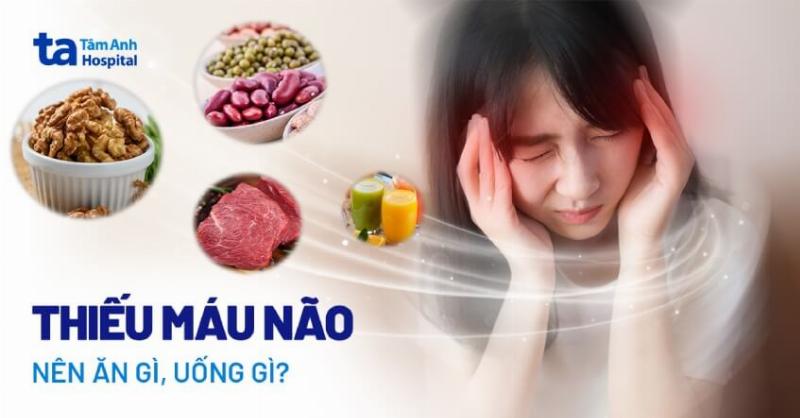 Hình ảnh minh họa sự kết hợp cân bằng các nhóm thực phẩm để tạo thức ăn bổ máu cho chó