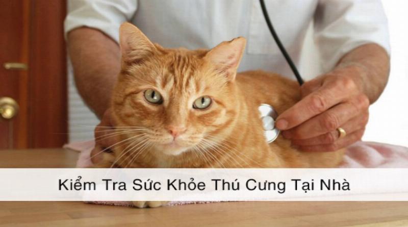 Kiểm tra sức khỏe chó con