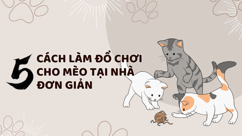 Làm đồ chơi cho mèo từ vải vụn