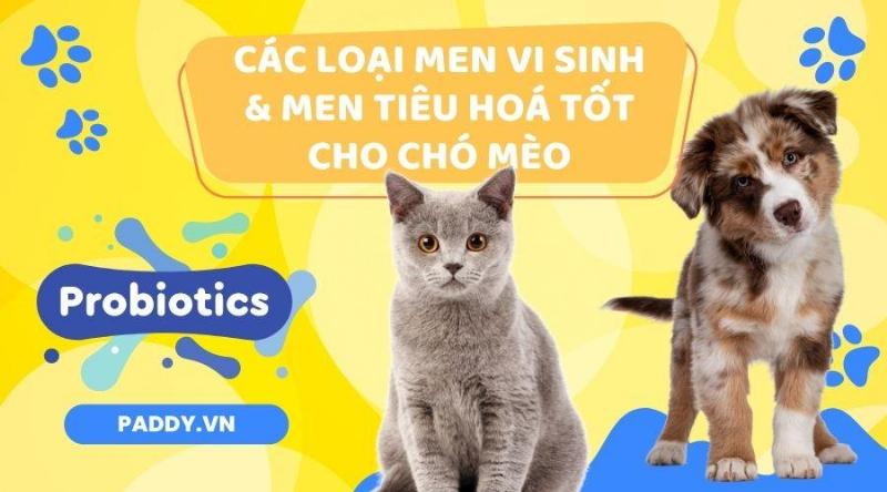 Lựa chọn men tiêu hóa cho chó