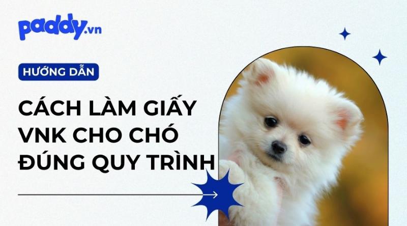 Lưu ý khi sử dụng giấy VKA