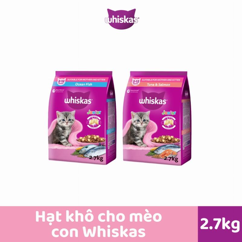 Một chú mèo đang ăn thức ăn hạt từ bát, minh họa tầm quan trọng của dinh dưỡng cho sức khỏe tổng thể.