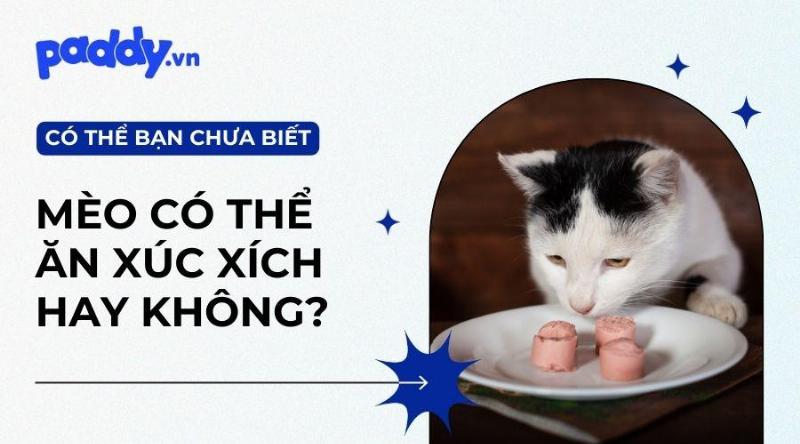 Các loại xúc xích và mèo