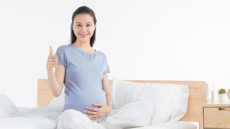 Mèo Bầu Giai Đoạn Giữa