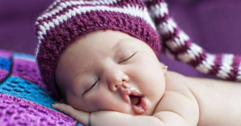 Mèo bồn chồn trước khi đẻ