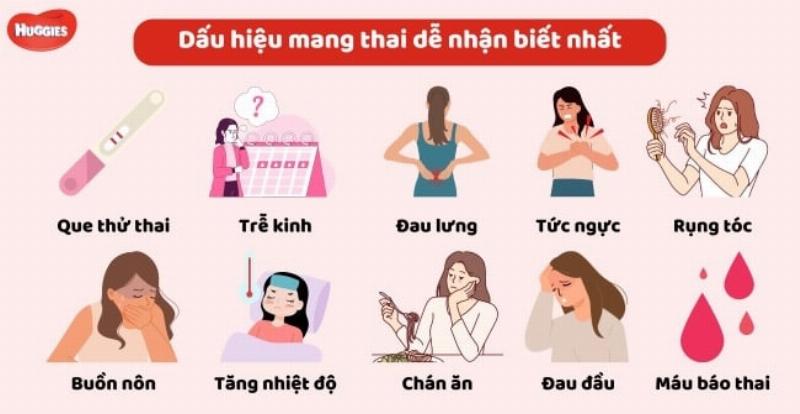 Hinh anh meo dang mang thai bung to dang nghi ngoi thoai mai