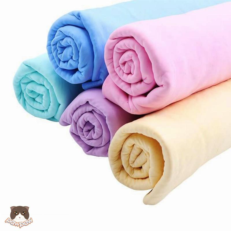 Mèo được quấn khăn tắm