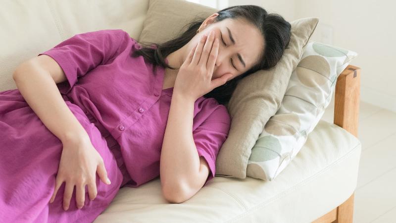 Ói Mửa Buổi Sáng Mèo Có Thai
