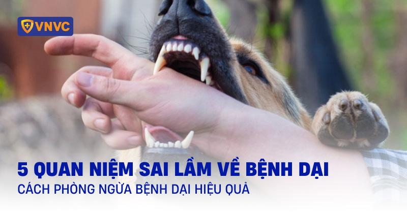 Minh họa các quan niệm sai lầm về bệnh giảm bạch cầu ở mèo, ví dụ: chỉ mèo con bị bệnh, hoặc có thể chữa bằng thuốc uống đơn giản.