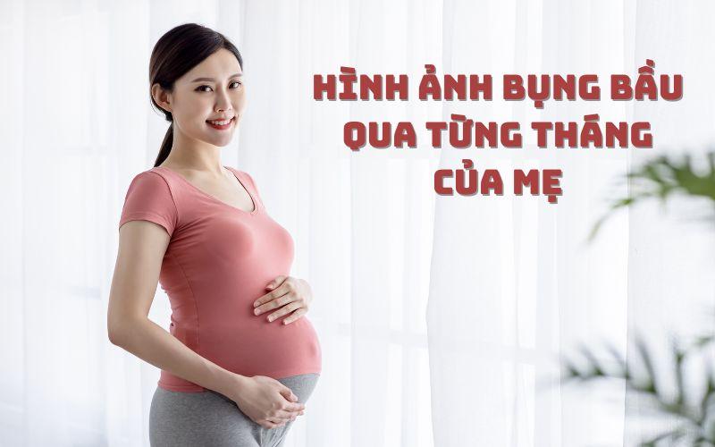 Thay đổi hình dáng cơ thể mèo bầu