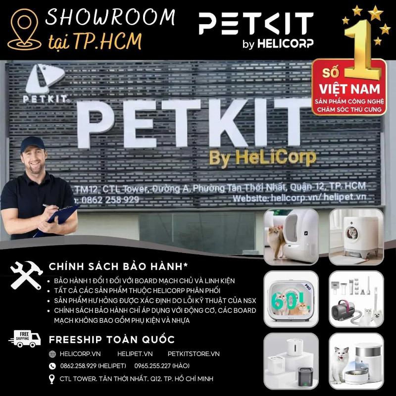 Một bác sĩ thú y đang khám sức khỏe tổng quát cho một chú mèo con, minh họa việc theo dõi sức khỏe mèo con định kỳ.