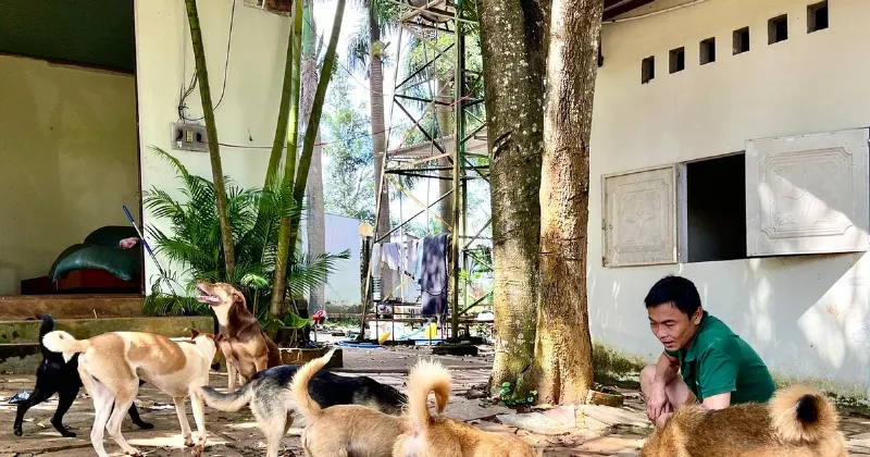 Một tình nguyện viên đang âu yếm và cho một chú mèo con ăn sữa, thể hiện sự chăm sóc tận tâm tại trạm cứu hộ.
