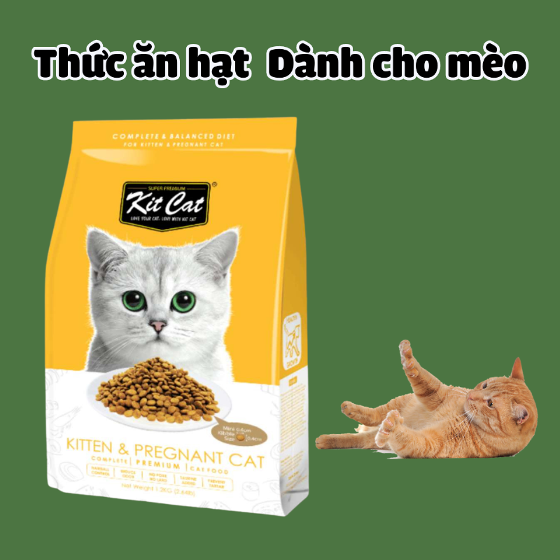 Top 5 thương hiệu thức ăn hạt cho mèo