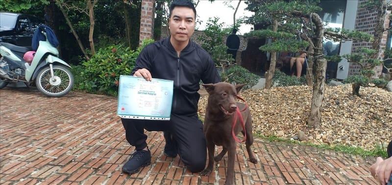 Ứng dụng giấy VKA