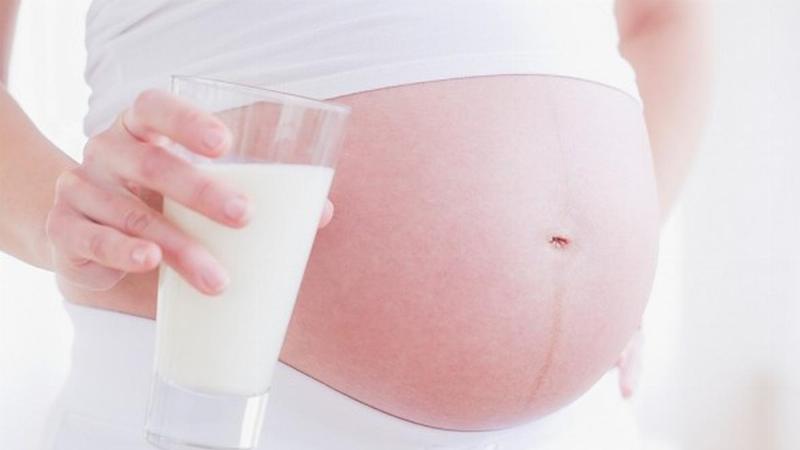 Những vấn đề sức khỏe cần chú ý trong thời gian mang thai của chó