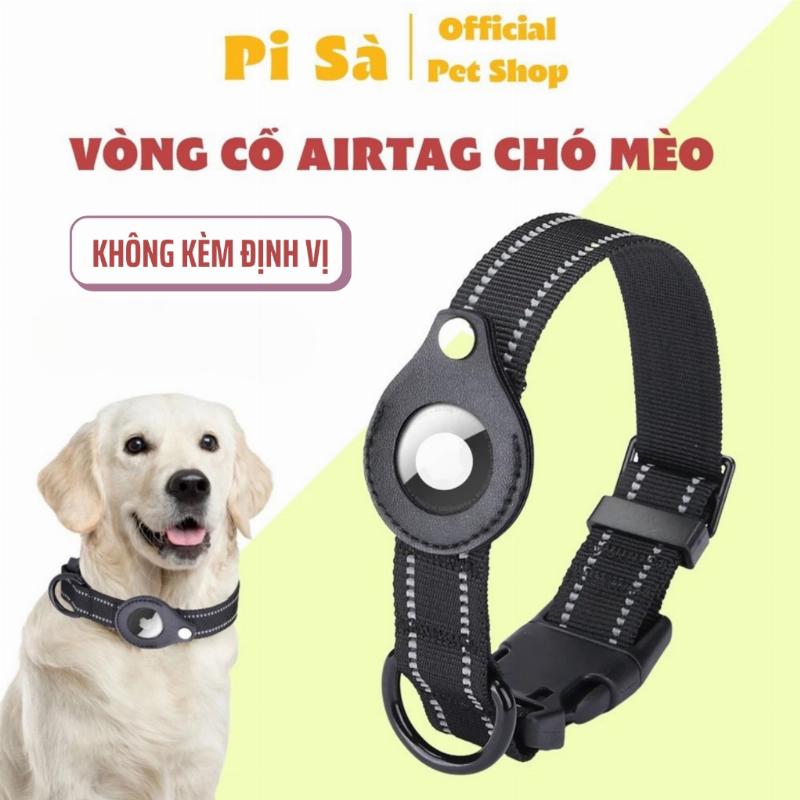 Vòng cổ định vị GPS cho chó