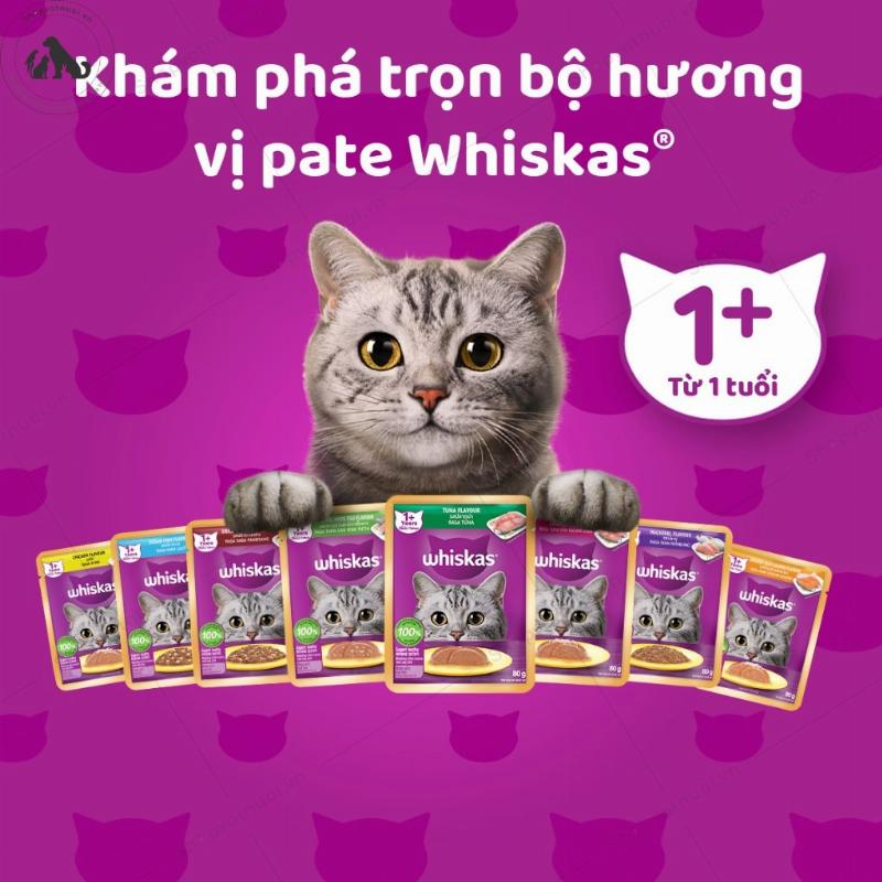 Một người đang cầm gói thức ăn Whiskas trong siêu thị hoặc cửa hàng tạp hóa, thể hiện tính dễ mua và giá cả hợp lý của sản phẩm