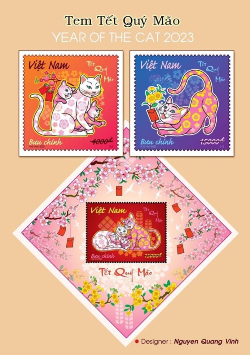 Hình ảnh một chú mèo con đang chơi đùa cùng một người, thể hiện quá trình xã hội hóa mèo con