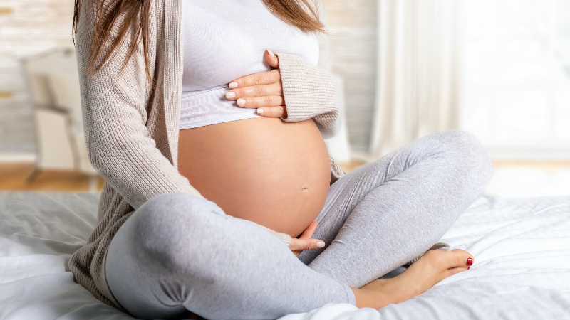 Hình ảnh chó mẹ với bụng to rõ rệt ở giai đoạn cuối thai kỳ, biểu hiện chó có bầu không thể nhầm lẫn