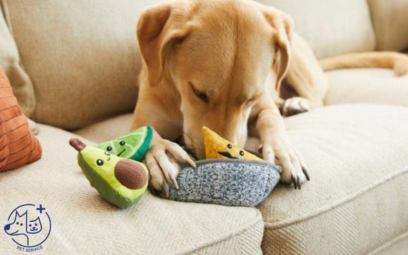 Bộ sưu tập đa dạng các loại đồ chơi huấn luyện chó, bao gồm bóng, đồ chơi nhồi thức ăn, đồ chơi nhai, minh họa các lựa chọn đồ chơi huấn luyện chó.