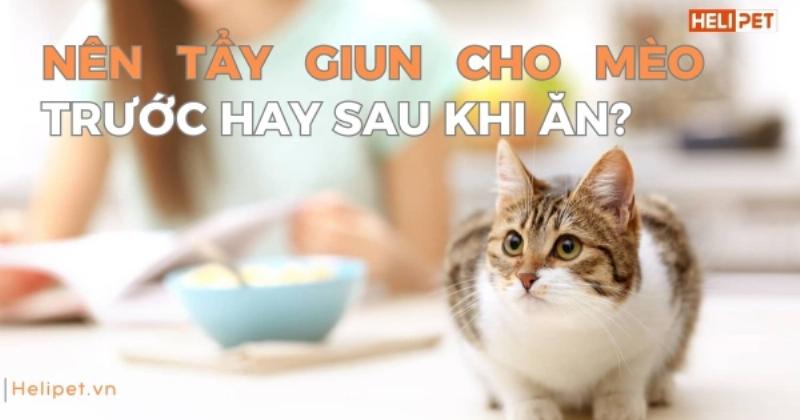 Các dạng thuốc xổ giun cho mèo như viên nén, siro, và dạng nhỏ gáy được đặt cạnh nhau, minh họa sự đa dạng của thuốc xổ giun cho mèo