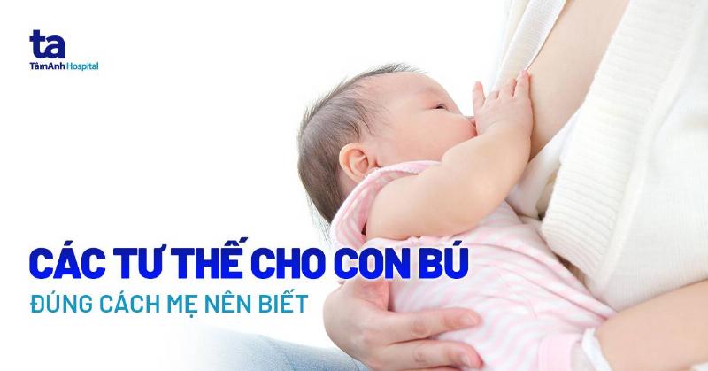 Hình ảnh hướng dẫn cho chó con bú bình đúng tư thế, nằm sấp