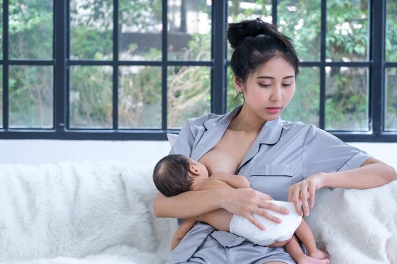 Hinh anh nguoi chu dang cho cho uong thuoc tay giun san can than
