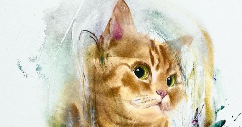 Hình ảnh minh họa một con mèo ở các giai đoạn tuổi khác nhau (mèo con, trưởng thành, mèo già) bên cạnh hình ảnh con người ở tuổi tương ứng, thể hiện sự khác biệt giữa công thức cũ và mới