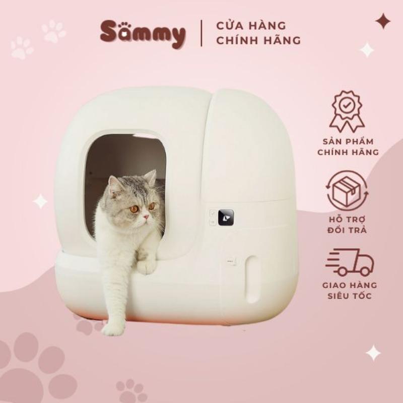 Cách vệ sinh nhà làm bằng thùng giấy cho thú cưng để đảm bảo sạch sẽ