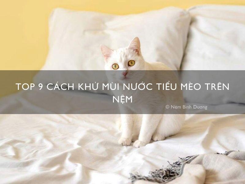 Dung dịch enzyme chuyên dụng khử mùi nước tiểu chó