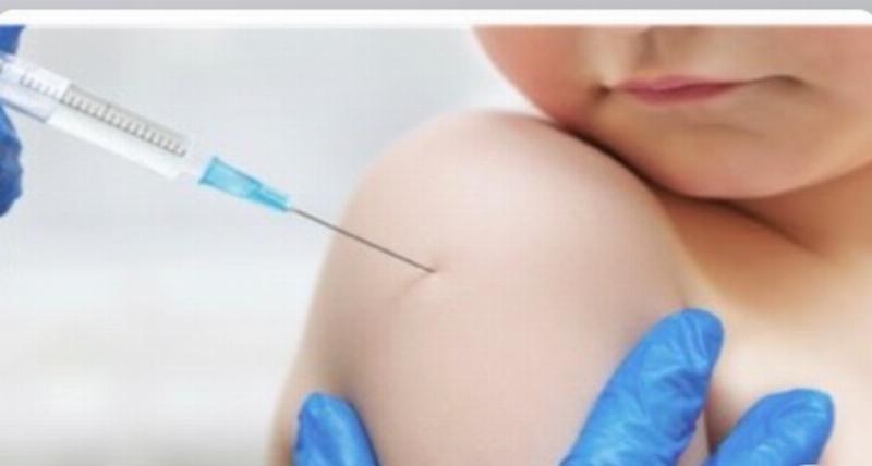 Hình ảnh minh họa chăm sóc chó sau tiêm thuốc trị ve, kiểm tra chỗ tiêm