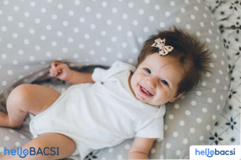 Hình ảnh một người đang âu yếm và kiểm tra sức khỏe tổng thể cho mèo cưng, biểu thị sự quan tâm và chăm sóc sức khỏe định kỳ