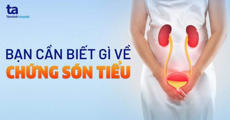 Hình ảnh minh họa chó bị ho khạc, sặc sụa như đang cố gắng tống dị vật ra ngoài, thể hiện sự khó chịu và lo lắng của chủ nhân