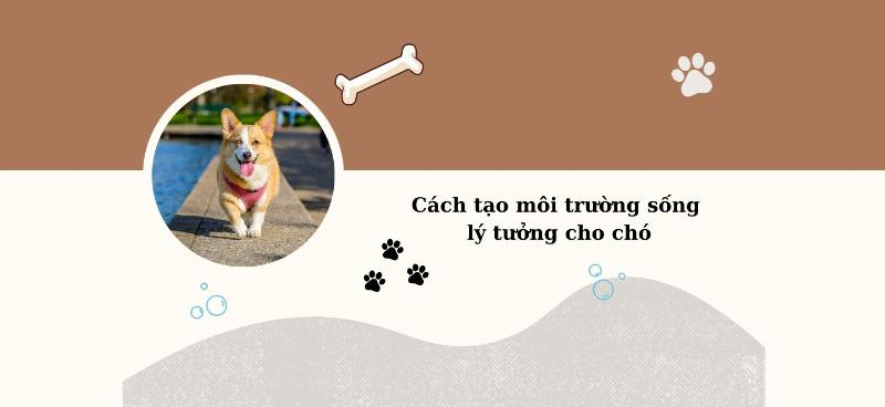 Hình ảnh một chú chó con đang chơi đùa vui vẻ với chủ nhân, thể hiện sự gắn kết và sức khỏe tốt nhờ được chăm sóc đúng cách
