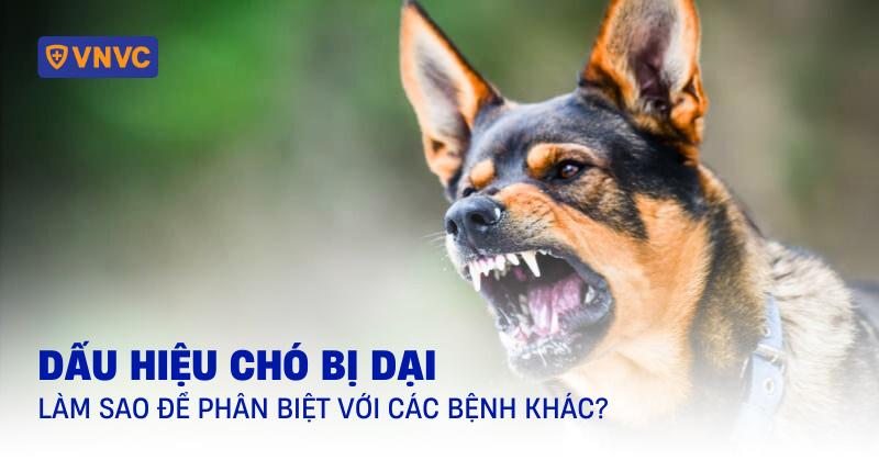 Dau hieu cho bi dai voi bieu hien liet va sui bot mep la rat nguy hiem