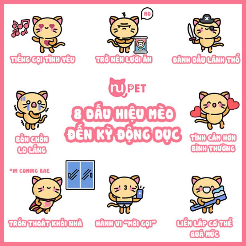 Dấu hiệu chó đực tới mùa phát dục như đánh dấu lãnh thổ, bồn chồn, cố gắng bỏ nhà đi.