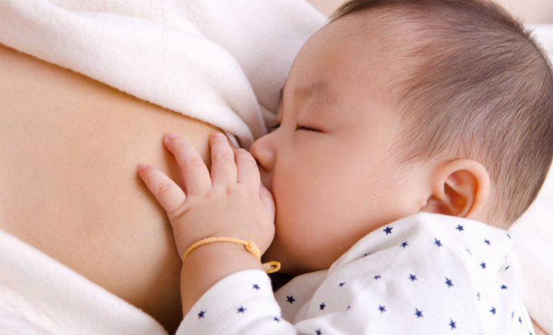 Hướng dẫn cho mèo con bú bình đúng kỹ thuật an toàn và hiệu quả