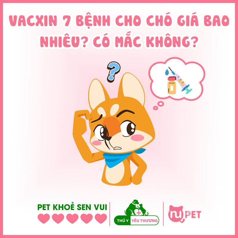 Hình ảnh chú chó Phốc Sóc đáng yêu đang cảnh báo người xem về những rủi ro khi tìm kiếm chó phốc sóc giá rẻ 250k và giá quá thấp