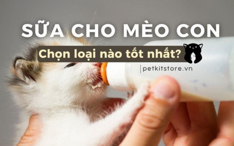 Chọn loại sữa tốt nhất cho chó con mồ côi hoặc không có sữa mẹ trong giai đoạn đầu đời