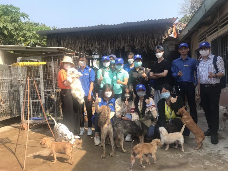 Bác sĩ thú y khám sức khỏe cho chó mèo tại trạm cứu hộ chó mèo TPHCM.