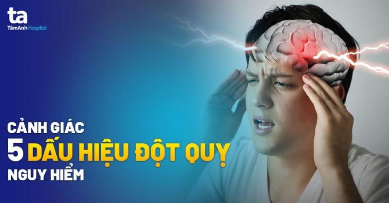 Hinh anh mot nguoi chu dang lo lang be meo cua minh tren duong dua den phong kham khi co dau hieu meo bi bi tieu