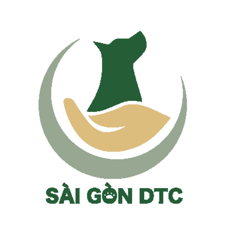 Một chuyên gia huấn luyện chó đang làm việc với một chú chó cưng trong môi trường huấn luyện thân thiện