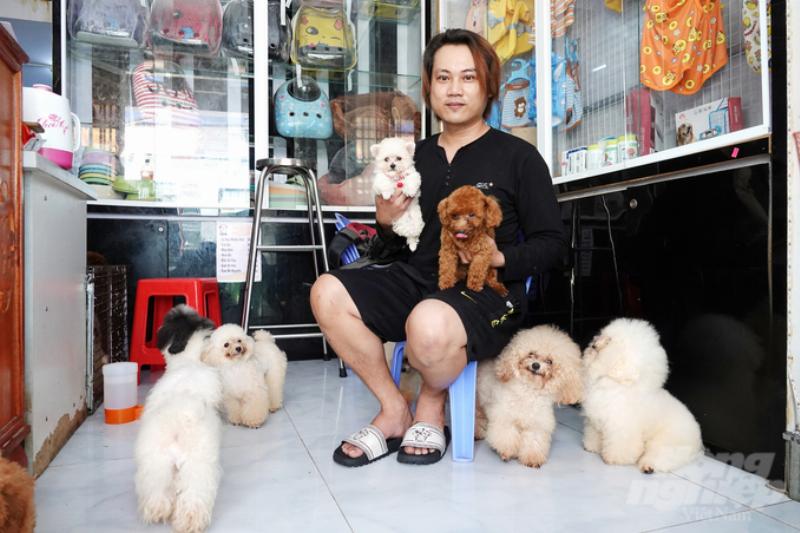 Một nhóm người nuôi Poodle đang trò chuyện hoặc chia sẻ hình ảnh Poodle của họ, thể hiện cộng đồng hỗ trợ cho việc chăm sóc và hiểu hơn về poodle sống được bao lâu