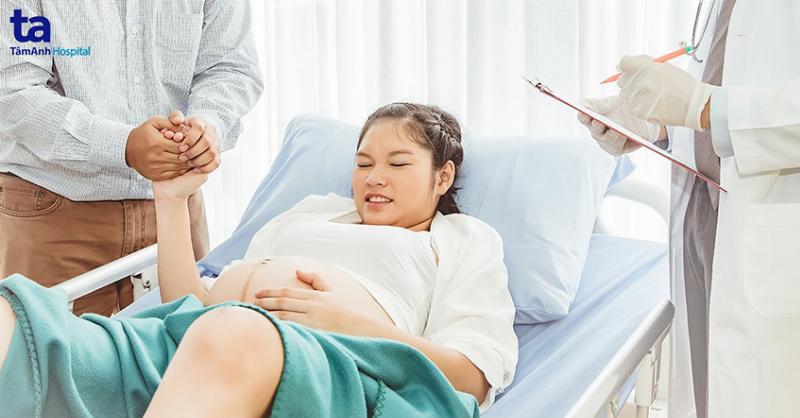 Hình ảnh minh họa mèo đang cố gắng đi vệ sinh trong chậu cát, khuôn mặt biểu hiện sự khó chịu và rặn khó nhọc, là một trong những dấu hiệu phổ biến khi mèo không đi vệ sinh được.
