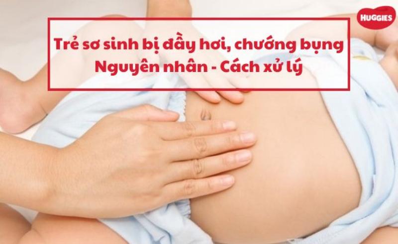 Một chú mèo con nằm li bì, có thể có dấu hiệu khó chịu ở bụng, minh họa các vấn đề sức khỏe