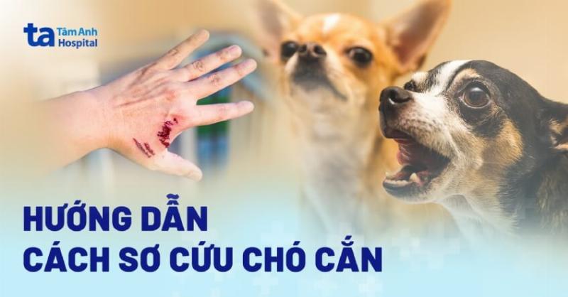 Một em bé chó con đáng yêu đang được bác sĩ thú y tiêm mũi vaccine ngừa bệnh dại một cách nhẹ nhàng